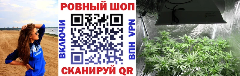 Купить наркотик аптеки Жуков COCAIN  МАРИХУАНА  omg ONION  ГАШ  Мефедрон  Alpha-PVP 