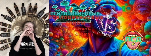 шишки Алексин