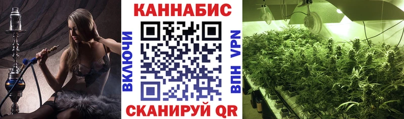 Бошки марихуана ГИДРОПОН наркотики Жуков